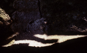 “Höhlenschatten” (Cave Shadow)