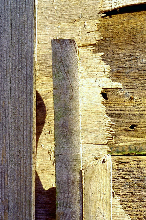 “Just Wood 4” “Just Wood 4”